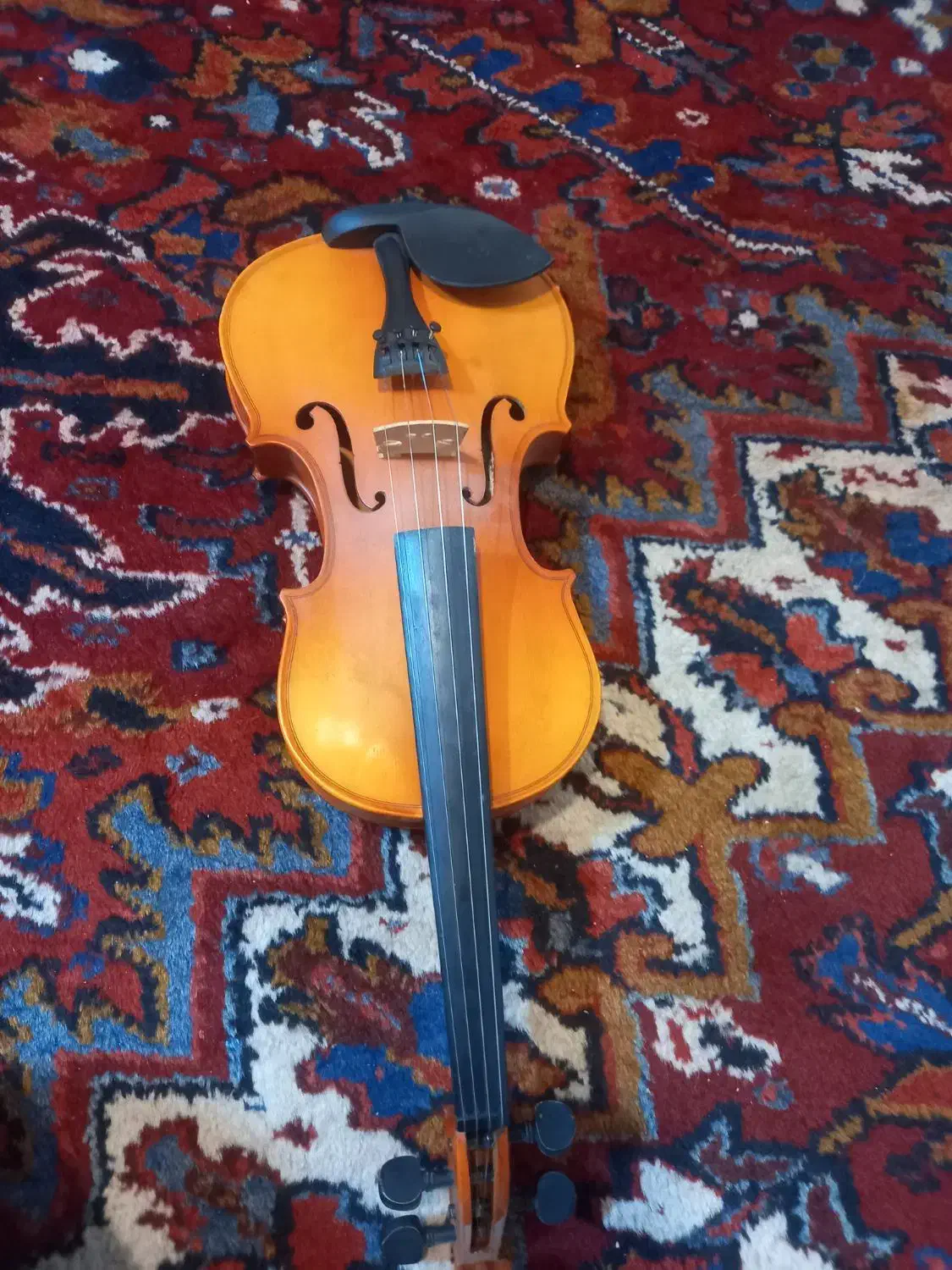 ویولن|ویولن|ایلخچی, |دیوار