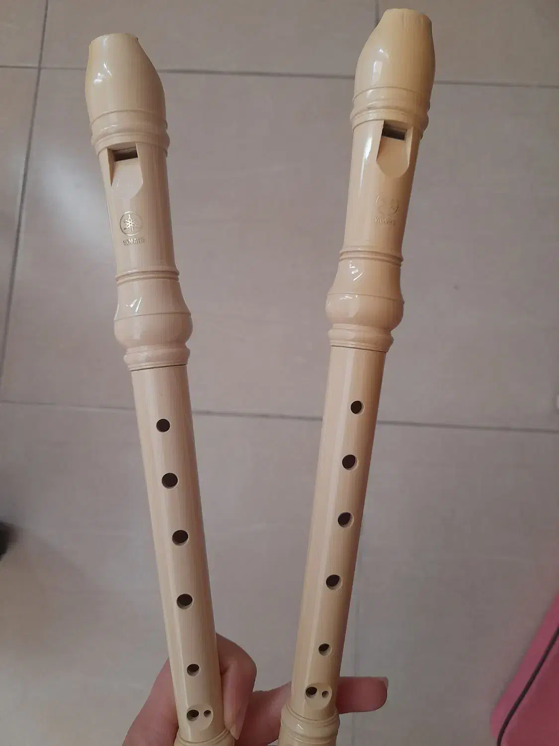 بلز و فلوت|سازهای سنتی|شیراز, پارک آزادی|دیوار