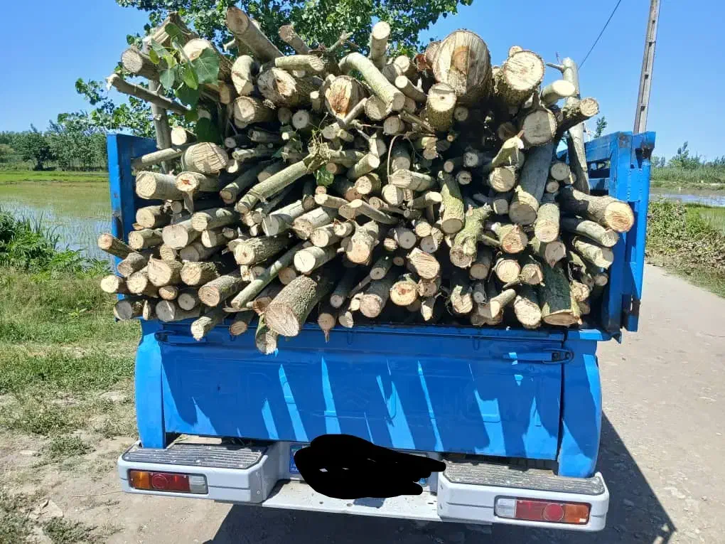 خریدوبرشکاری چوب آلات|خدمات باغبانی و درختکاری|بندر انزلی, کلیور|دیوار