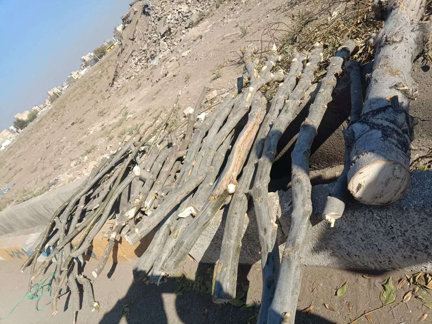 فروش چوب تر|گل و گیاه طبیعی|الوند, |دیوار