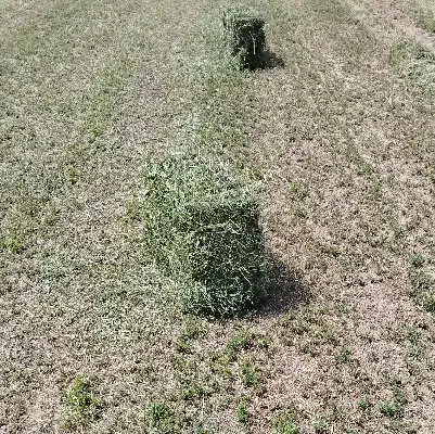 فروش پرس یونجه|لوازم جانبی حیوانات|بلداجی, |دیوار