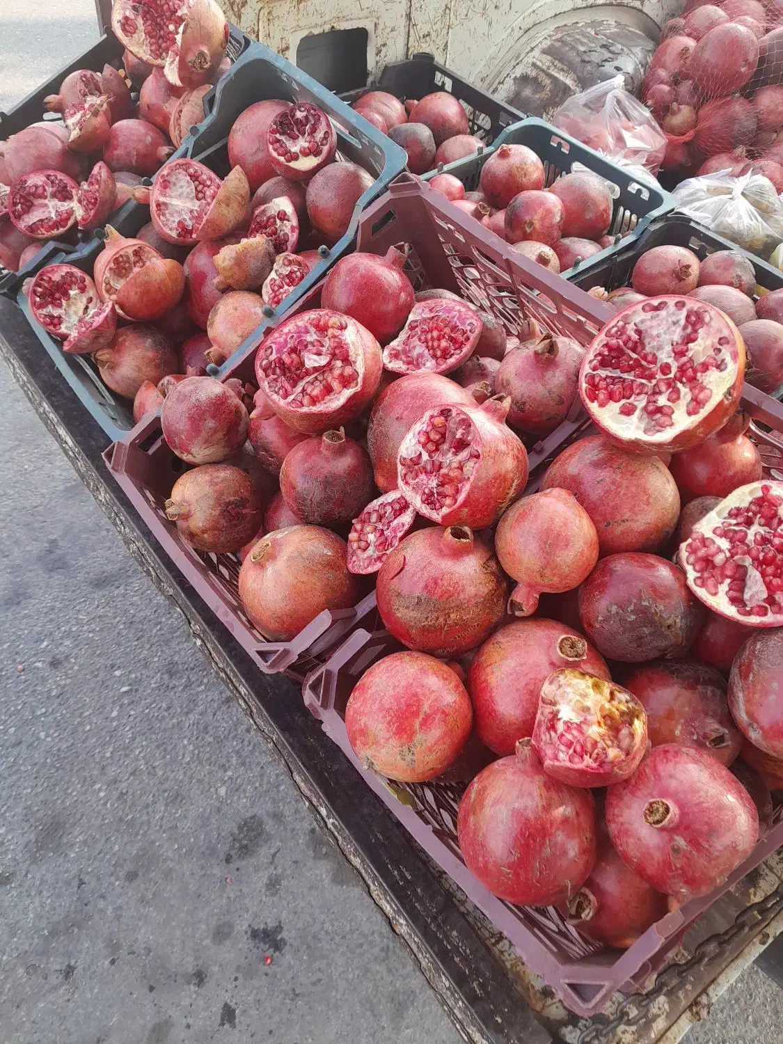 انار ربی|خوردنی و آشامیدنی|گنبد کاووس, |دیوار