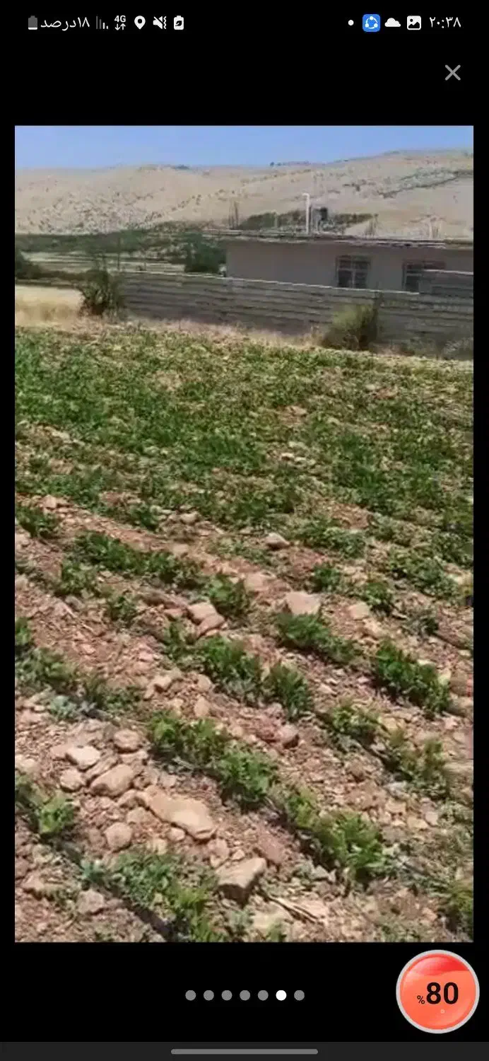 زمین سپیدار مرکزی|فروش زمین و ملک کلنگی|سپیدار, |دیوار