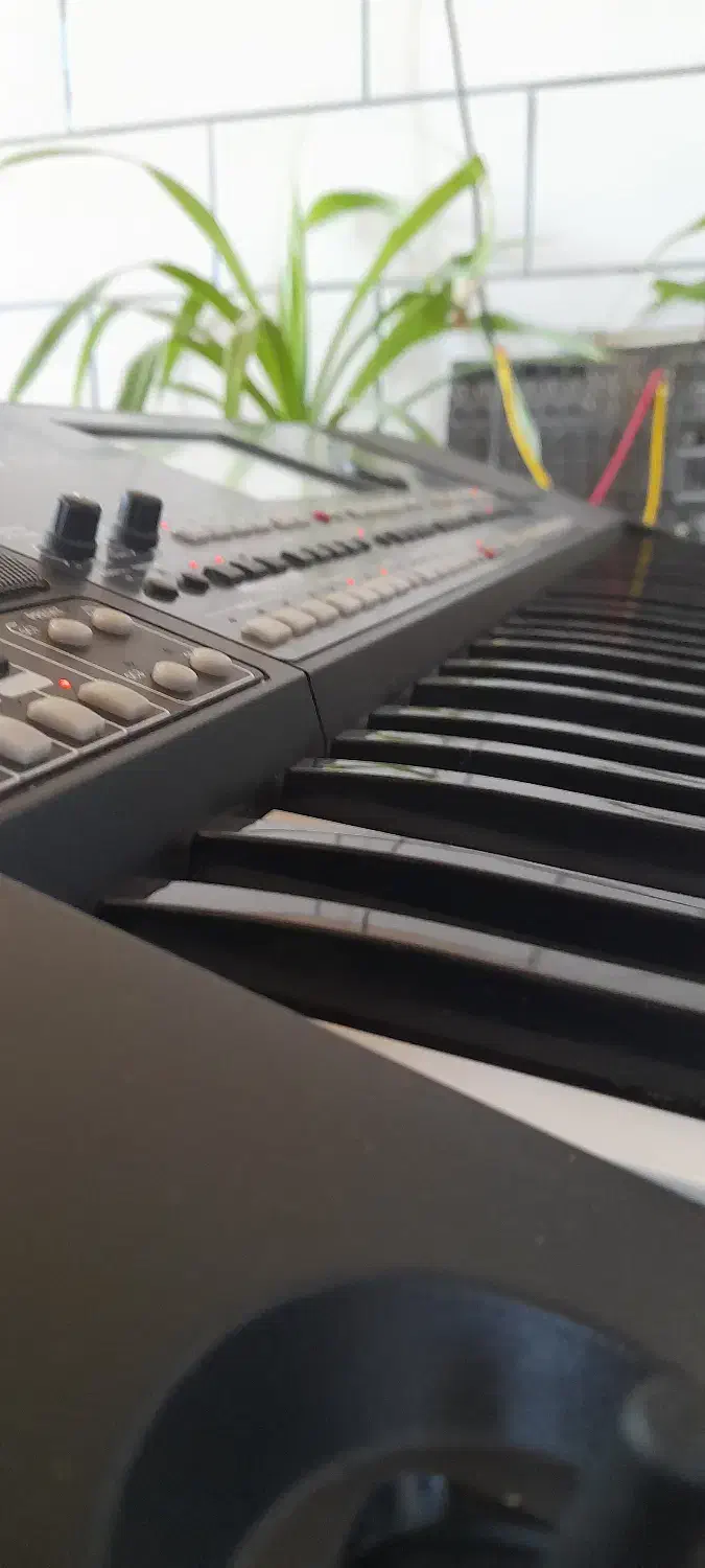 کیبرد 600|پیانو، کیبورد، آکاردئون|ششده و قره بلاغ, |دیوار