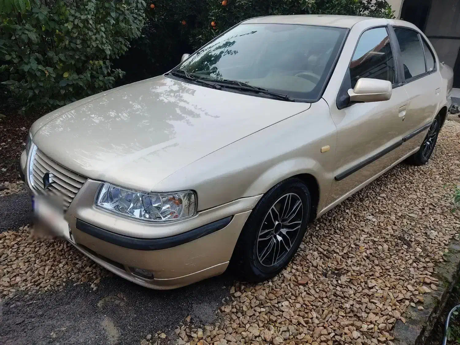 فروش یا معاوضه سمند ۸۲ تو کرم|خودرو سواری و وانت|قائمشهر, |دیوار