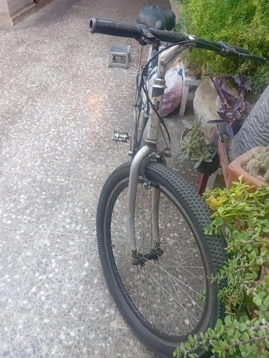 دوچرخه ۲۶|دوچرخه، اسکیت، اسکوتر|شیراز, گلشن|دیوار