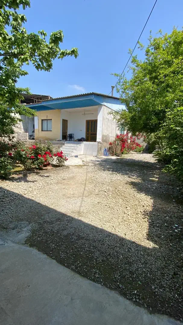 نوساز /سندتک برگ /انشعابات خصوصی|فروش خانه و ویلا|دابودشت, |دیوار