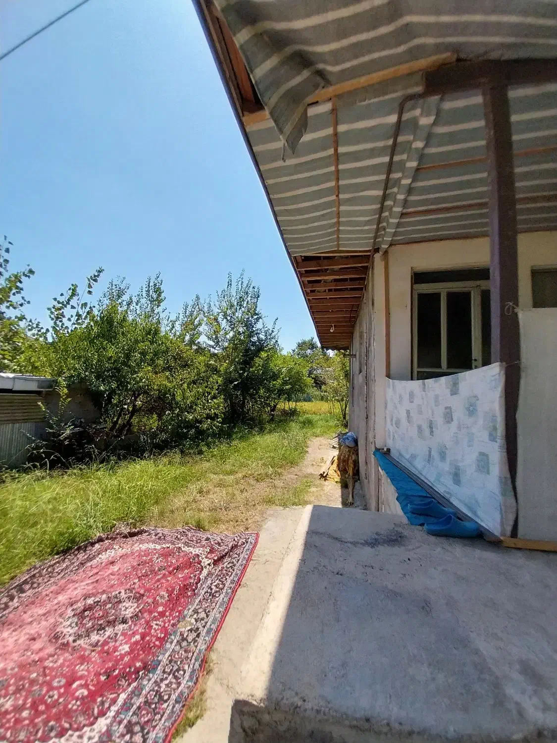 فروش ویلایی۱۰۰متری/محوطه۴۵۰۰متری/سند/برآسفالت|فروش خانه و ویلا|شفت, |دیوار