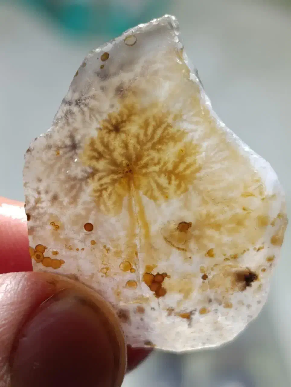 شجر قائن|جواهرات|یزد, |دیوار