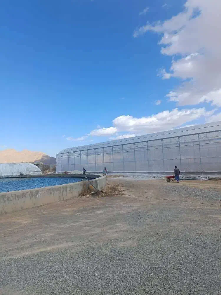 نصب انواع گلخانه صنعتی|خدمات پیشه و مهارت|شیراز, حومه شیراز|دیوار