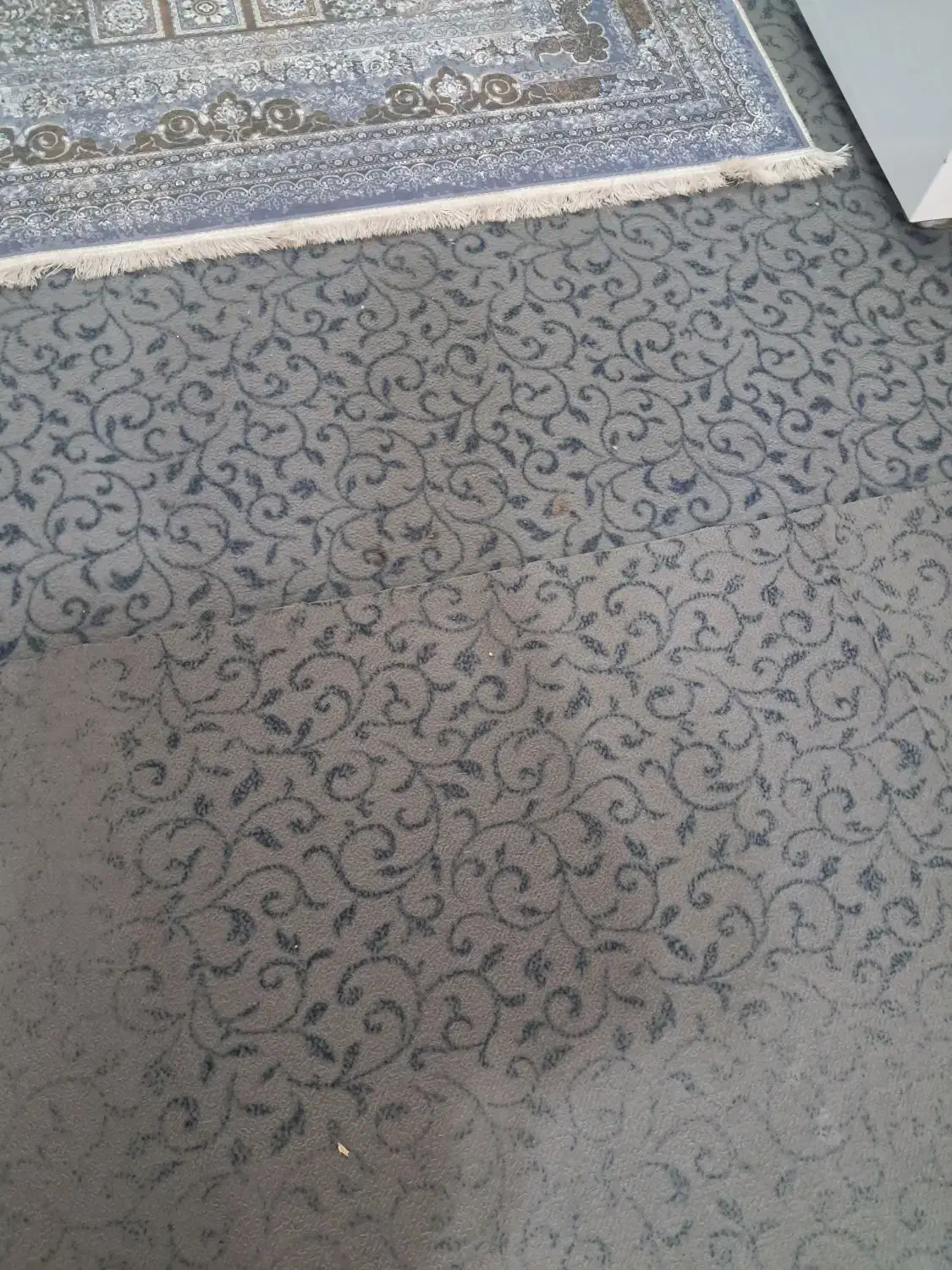 سه عددموکت|موکت|خمینی‌شهر, |دیوار