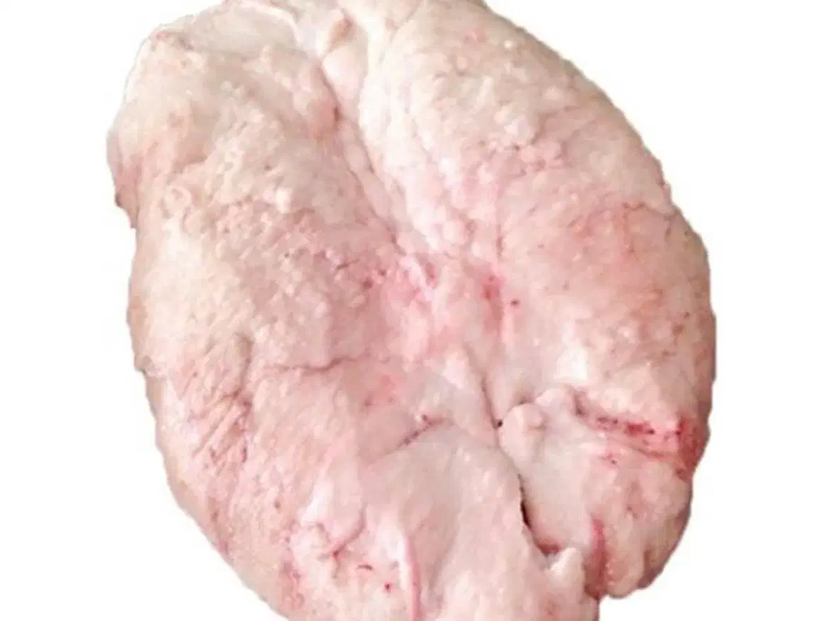 دنبه تازه بدون مو کشتار روز کیلو345|خوردنی و آشامیدنی|ری, علایین|دیوار