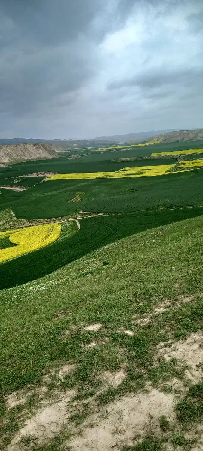 یه‌‌ راز بگو|فعالیت داوطلبانه|گرگان, |دیوار