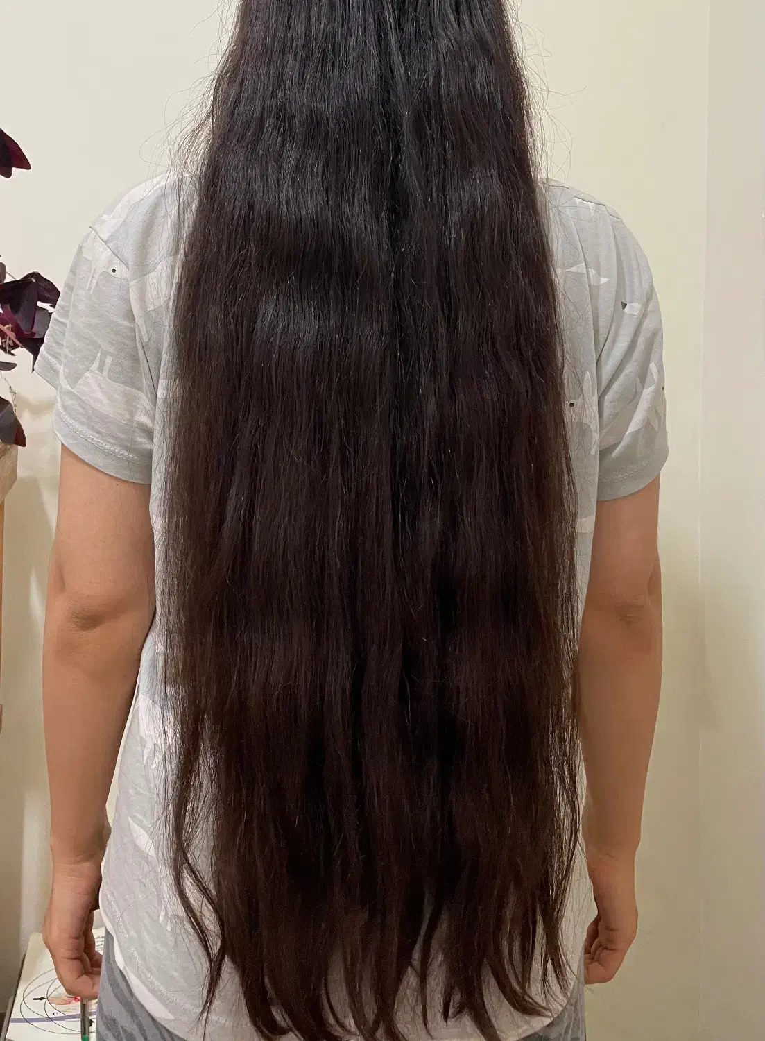 مو طبیعی|آرایشی، بهداشتی، درمانی|پاوه, |دیوار