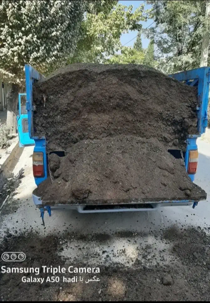 کود حیوانی گاوی وگوسفندی|خدمات باغبانی و درختکاری|چهارباغ, |دیوار