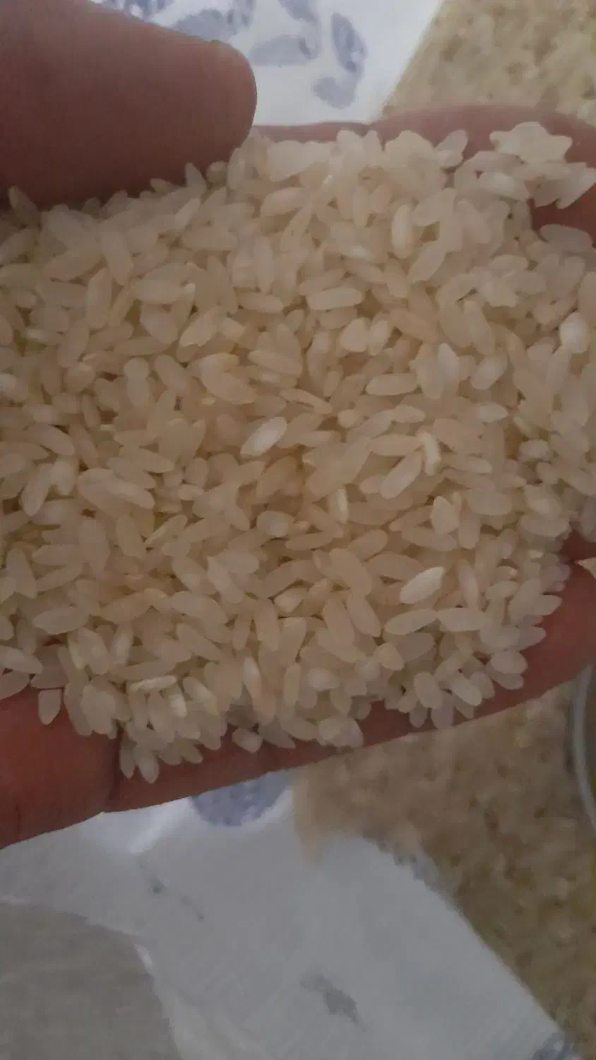 برنج کامفیروزز اصل مخصوص خاص پسندها|خوردنی و آشامیدنی|مرودشت, علی‌آباد‎|دیوار