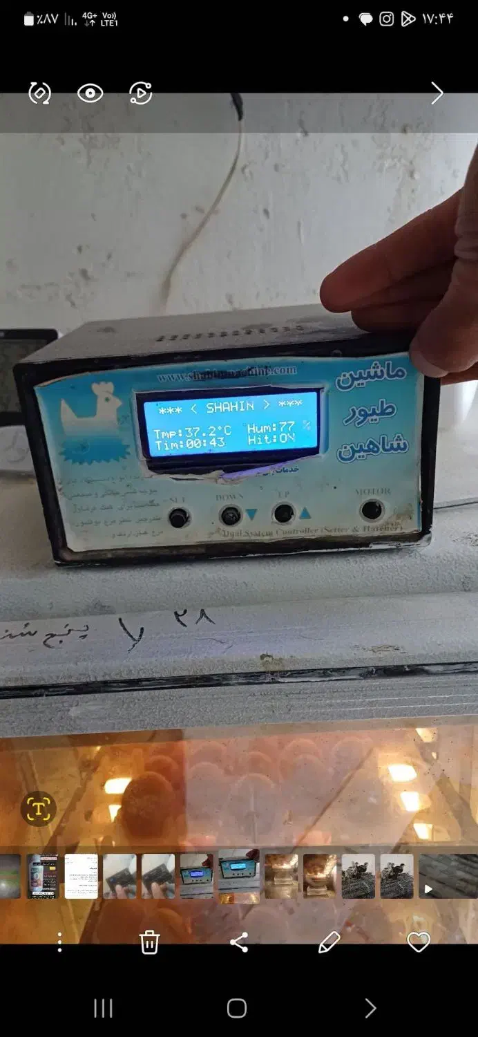 دستگاه جوجه کشی|لوازم جانبی حیوانات|باسمنج, |دیوار