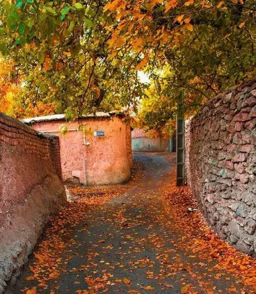 زمین مسکونی ۱۷۲متر ، بهترین لوکیشن شهمیرزاد|فروش زمین و ملک کلنگی|شهمیرزاد, |دیوار