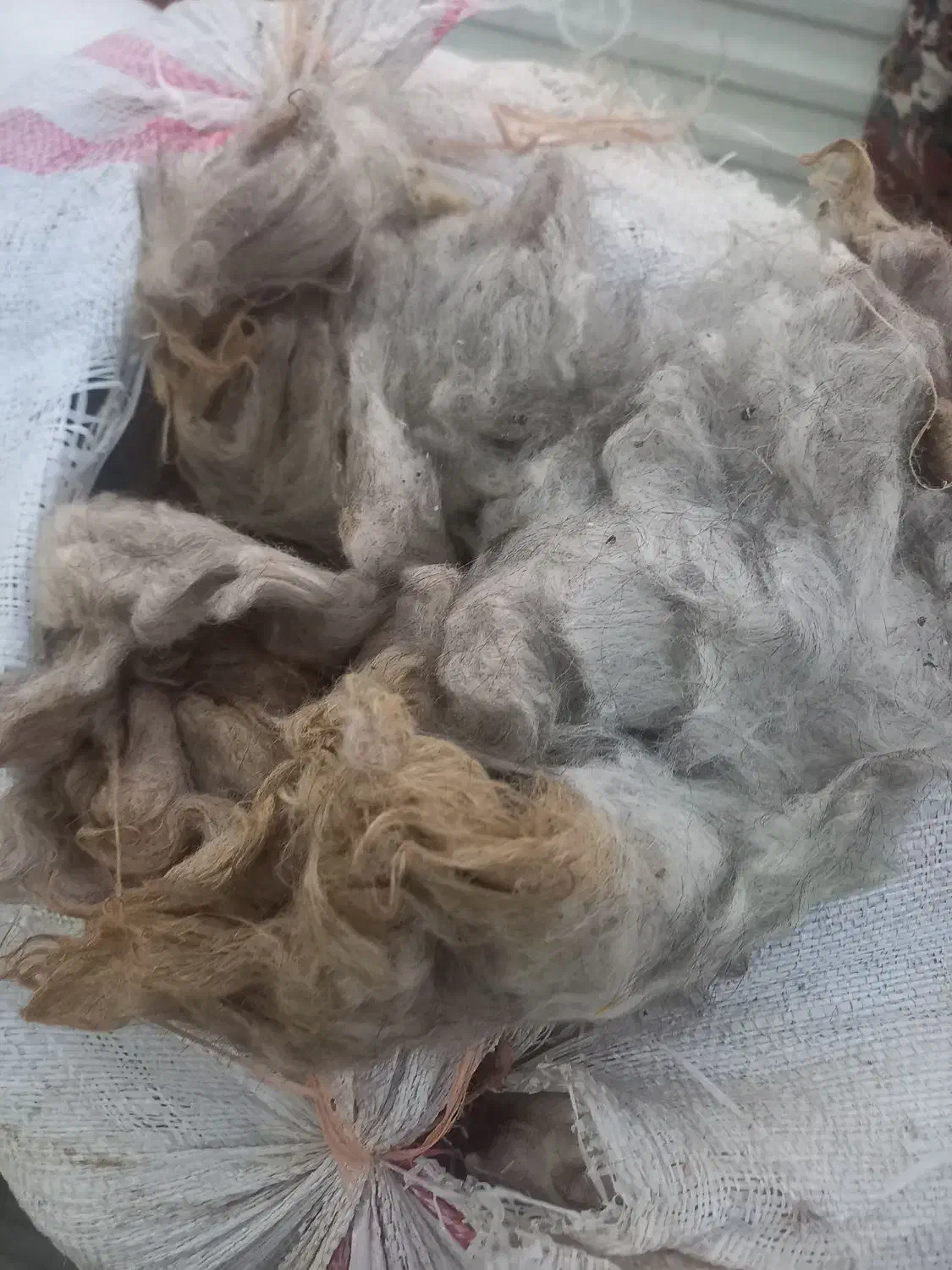 پشم گوسفندی|عمدهفروشی|فارسان, |دیوار