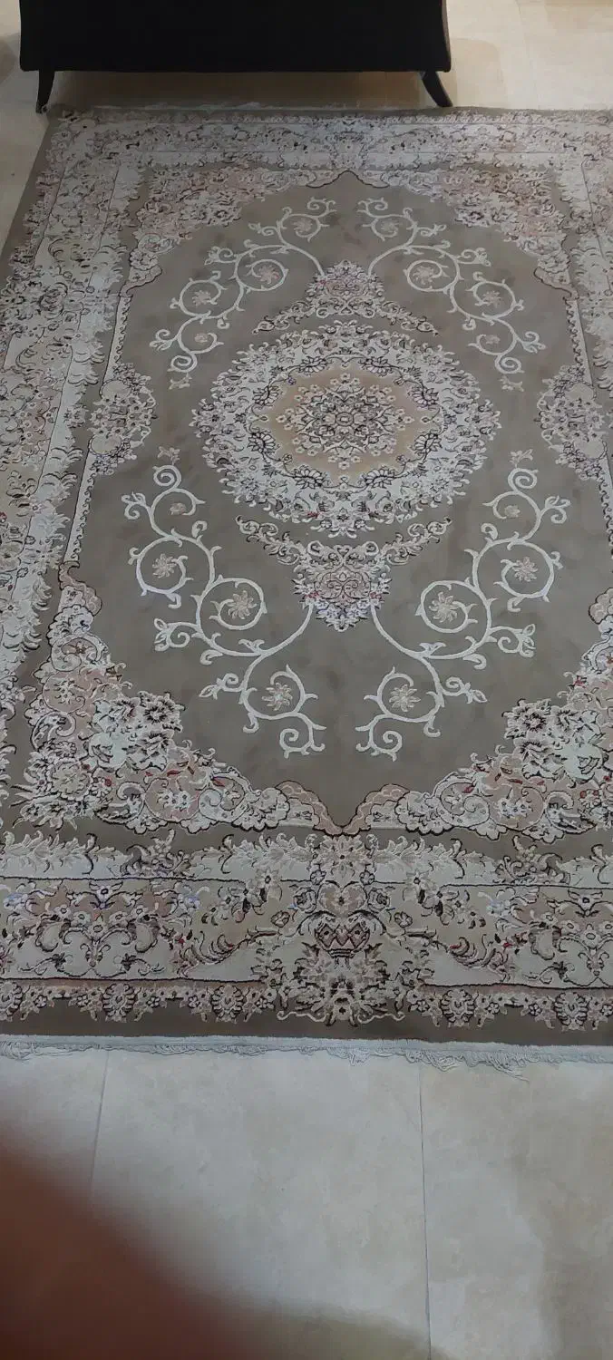 فرش ۶ متری|فرش|رشت, کوی طالقانی|دیوار