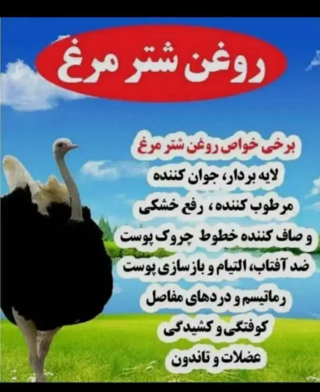 روغن شترمرغ اصل|آرایشی، بهداشتی، درمانی|کرج, آق تپه|دیوار