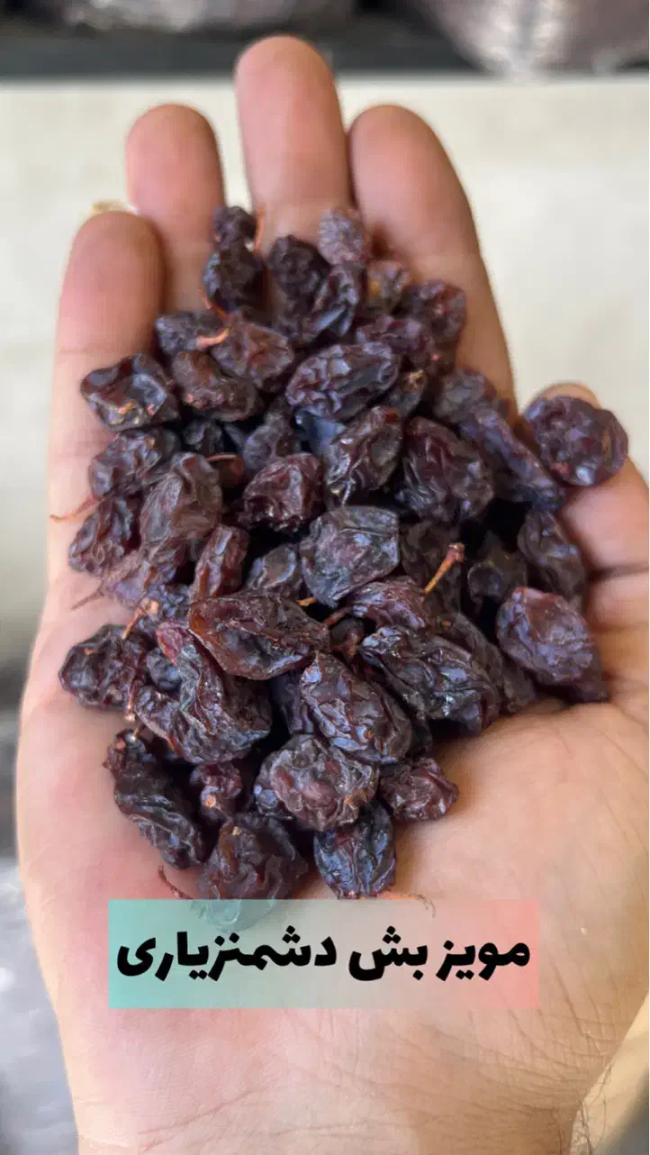 کشمش /مویز /شیره انگور|خوردنی و آشامیدنی|تهران, مولوی|دیوار