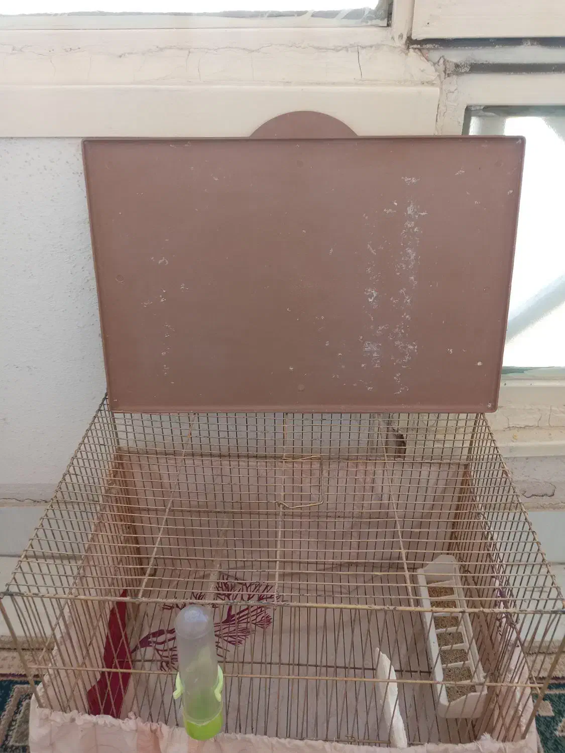 قفس قناری|لوازم جانبی حیوانات|محمدشهر, شهرک پیام (مهرالبرز)|دیوار