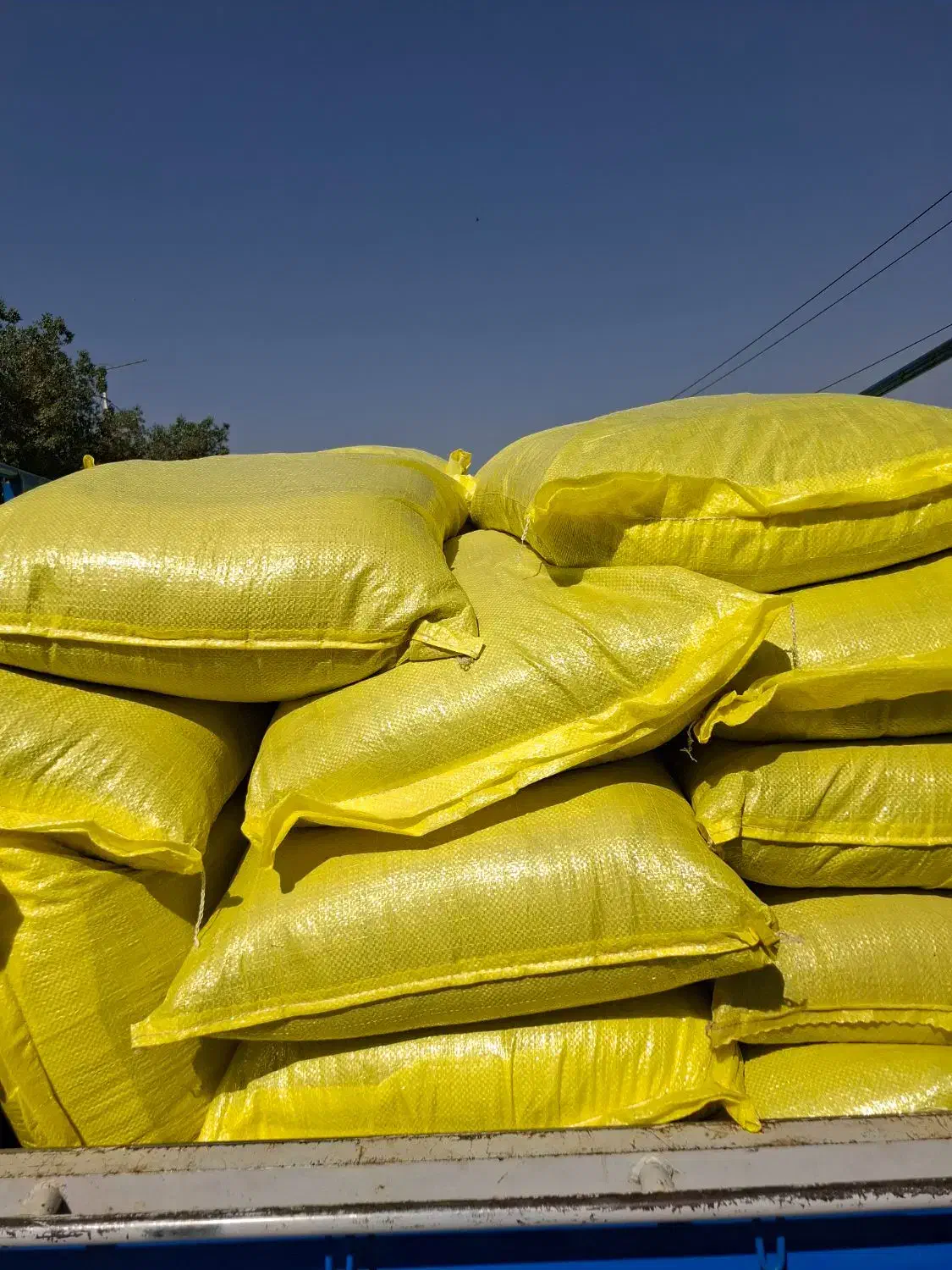 گلپر آسیاب شده بارامثال درجه یک|خوردنی و آشامیدنی|الیگودرز, |دیوار