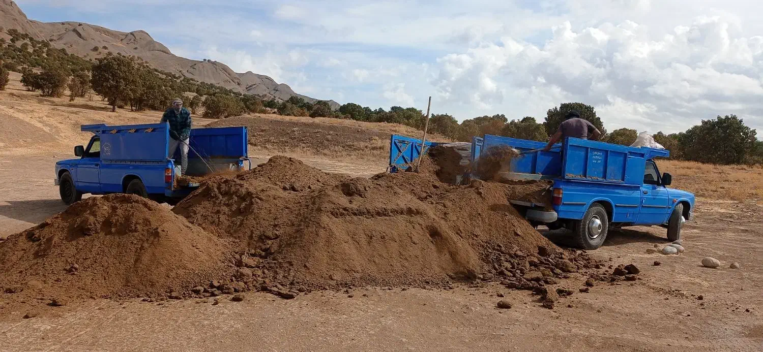 کود پشگل|گل و گیاه طبیعی|فیروزآباد (لرستان), |دیوار