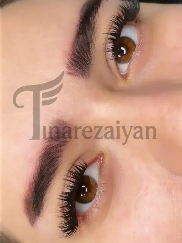 آموزش اکستنشن و کاشت مژه|خدمات آرایشگری و زیبایی|تبریز, |دیوار