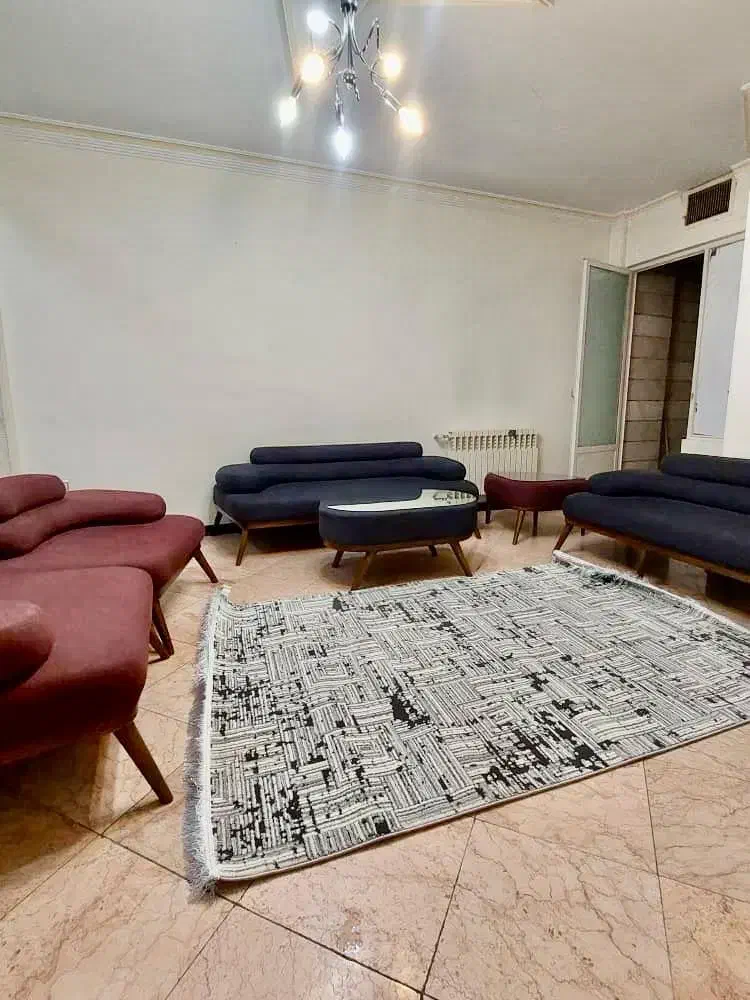 اجاره آپارتمان شیک اجاره کوتاه مدت|اجارهٔ کوتاهمدت آپارتمان و سوئیت|تهران, تهرانپارس غربی|دیوار