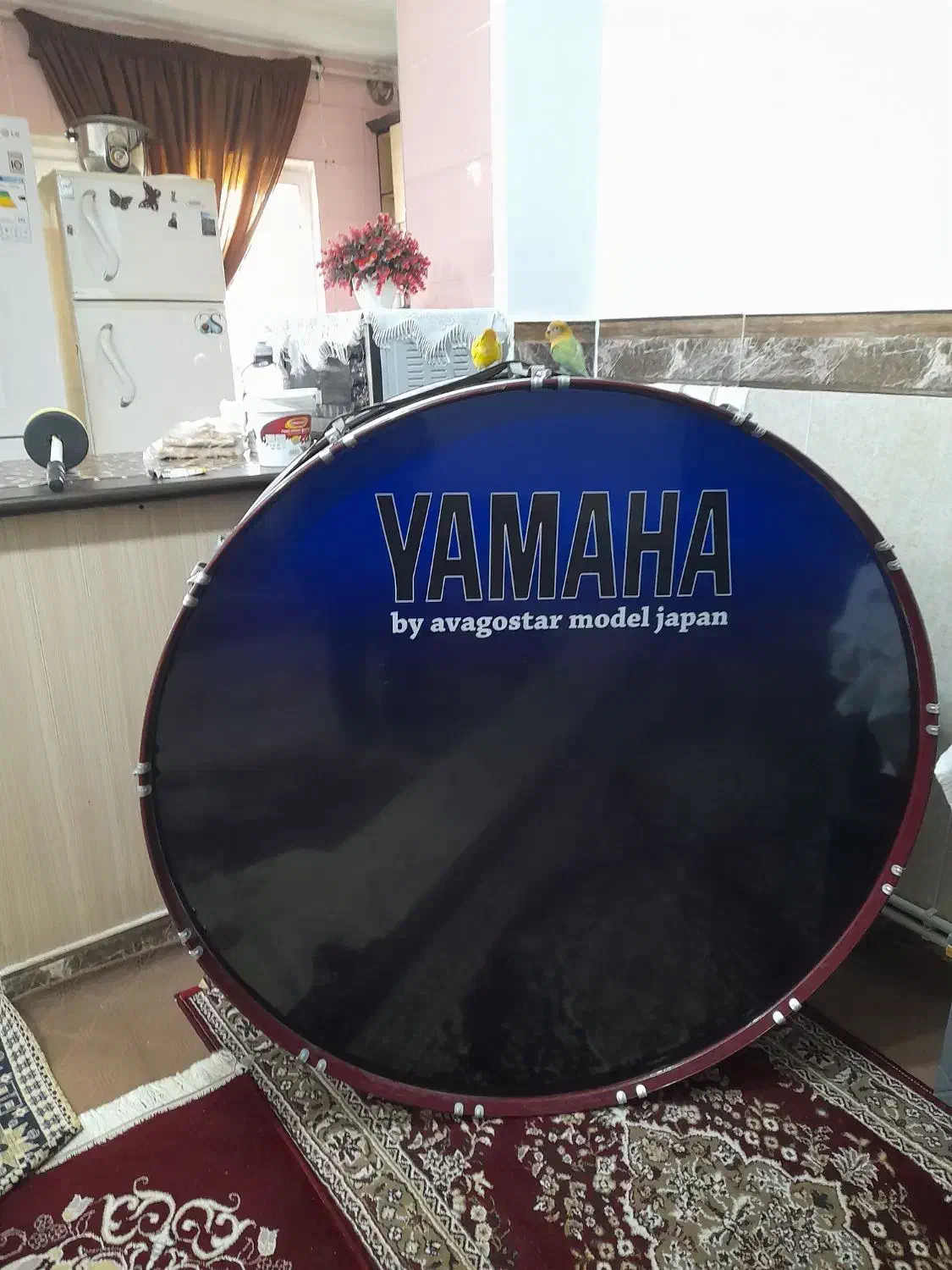 طبل ۱۲۰ نو|درام و پرکاشن|گنبد کاووس, |دیوار