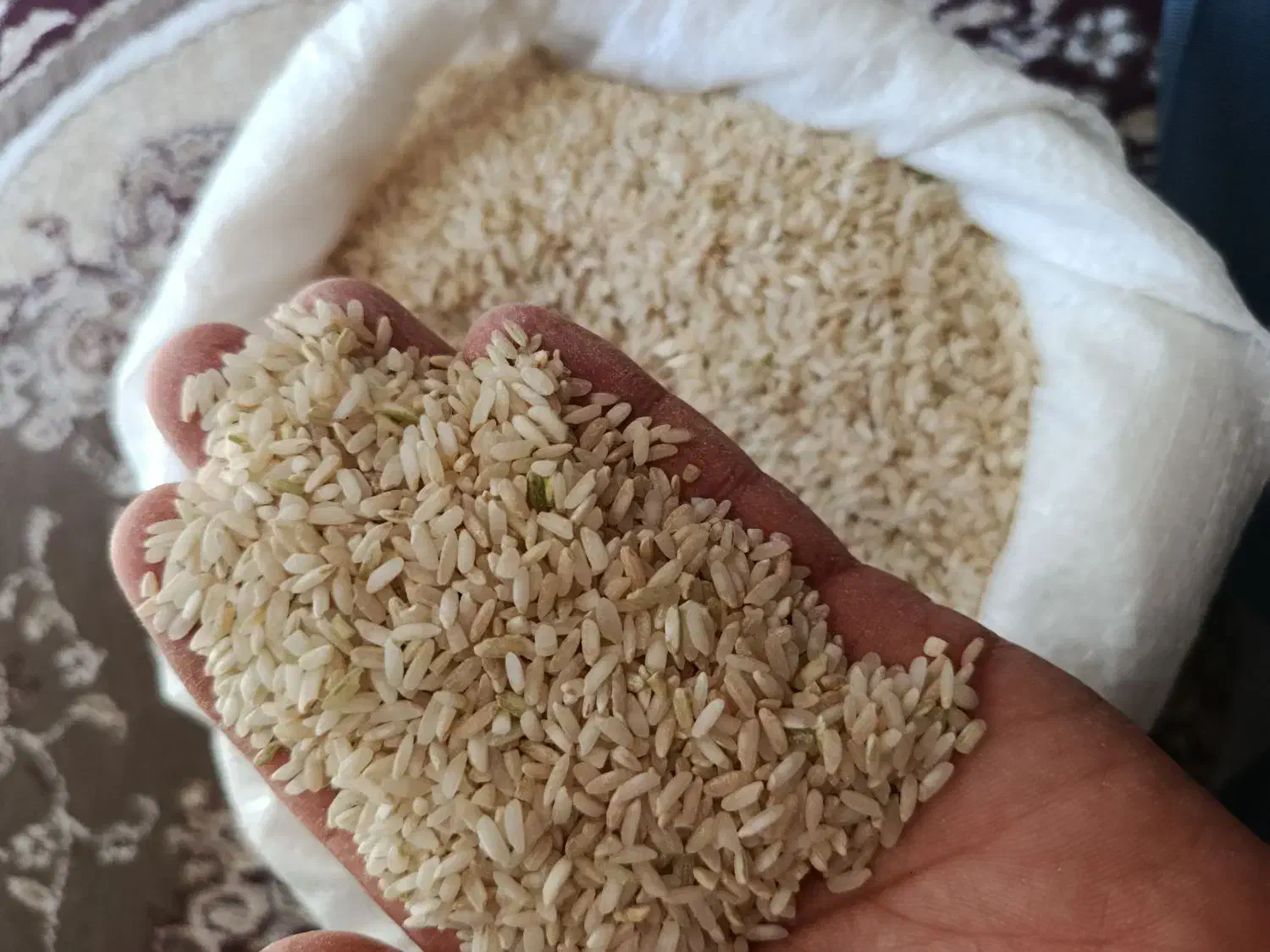 برنج چمپا محلی عنبربو|خوردنی و آشامیدنی|دهدشت, |دیوار