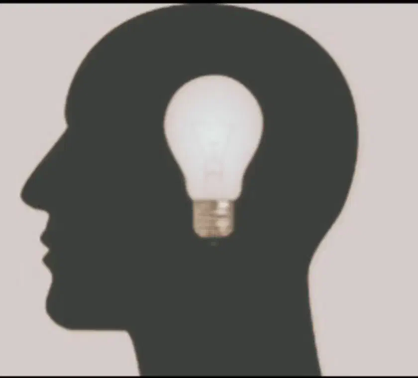 مشاوره تلفنی|خدمات باغبانی و درختکاری|قم, باغ شازده|دیوار