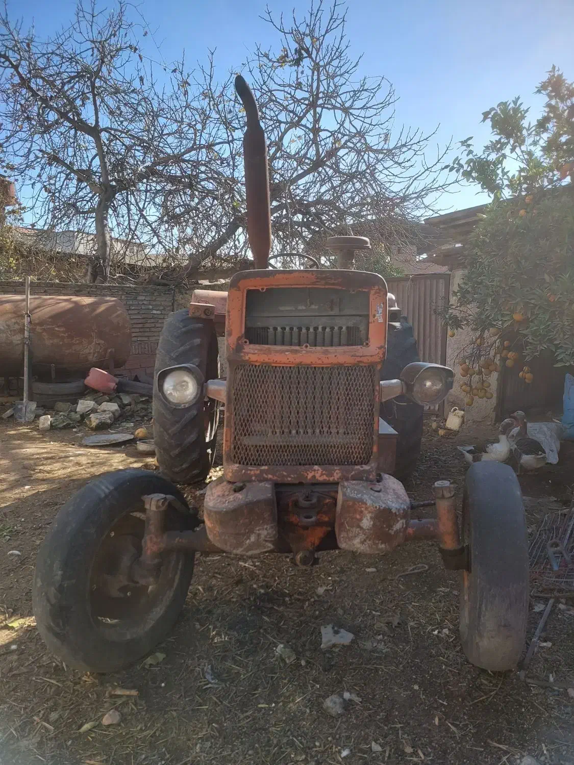 فروش تراکتور رومانی|خودرو سنگین|نکا, |دیوار