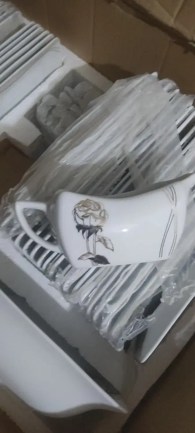 چینی 18 نفره تقدیس|ظروف سرو و پذیرایی|پاکدشت, پاکدشت (مامازند)|دیوار