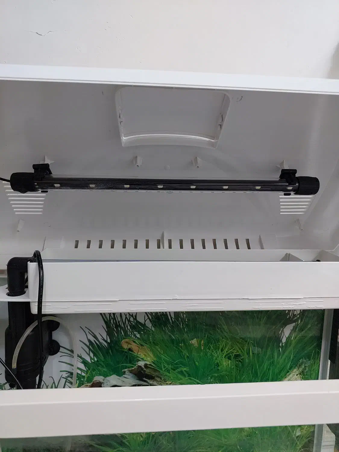 ِکواریوم شرکتی ۵۵در۴۵|ماهی|تهران, آذری|دیوار