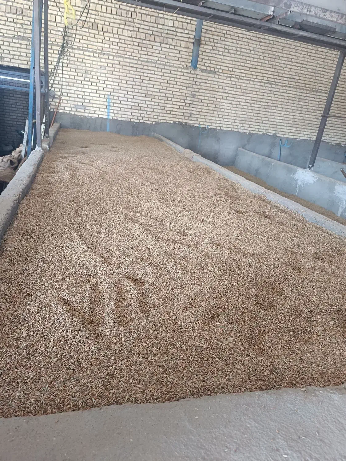 برنج عنبر بو درجه یک|خوردنی و آشامیدنی|اهواز, سپیدار|دیوار