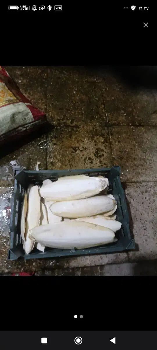 کف دریا|آرایشی، بهداشتی، درمانی|بندر کنگان, |دیوار