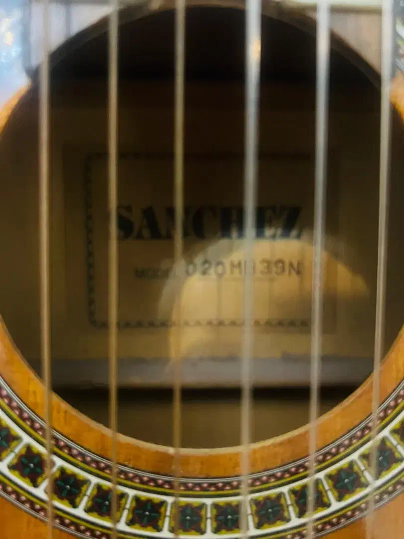 گیتار سانچز خوش صدا|گیتار، بیس، امپلیفایر|تهران, جنتآباد شمالی|دیوار