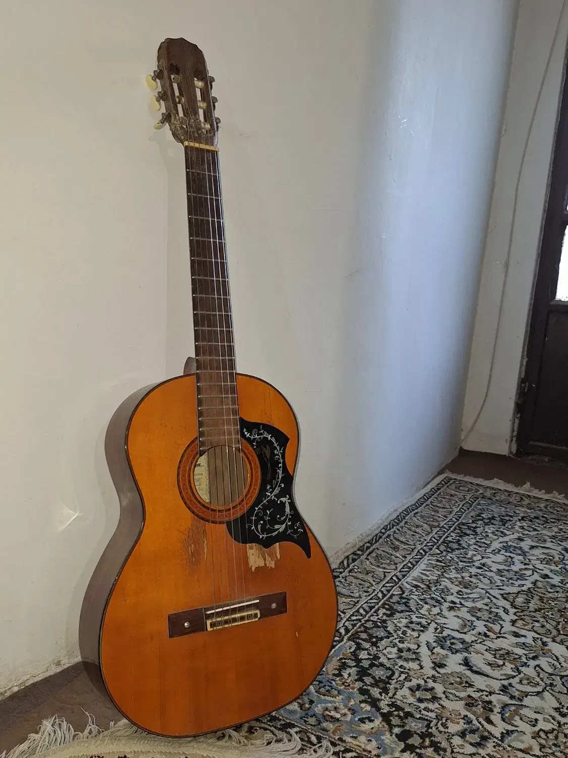 گیتار آریا ak 80، Aria Ak80|گیتار، بیس، امپلیفایر|مشهد, استاد یوسفی (شهرک غرب)|دیوار