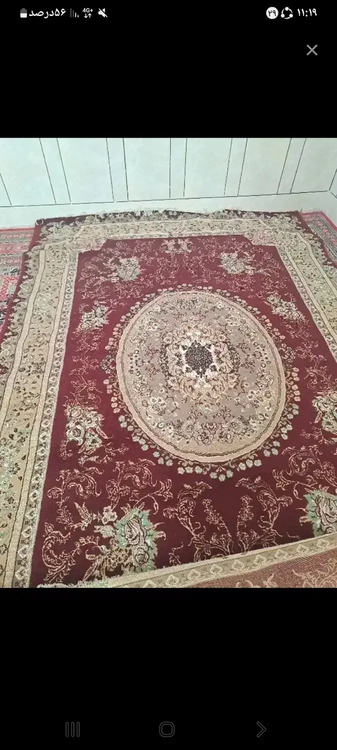 قالی 6متری|فرش|گتوند, |دیوار