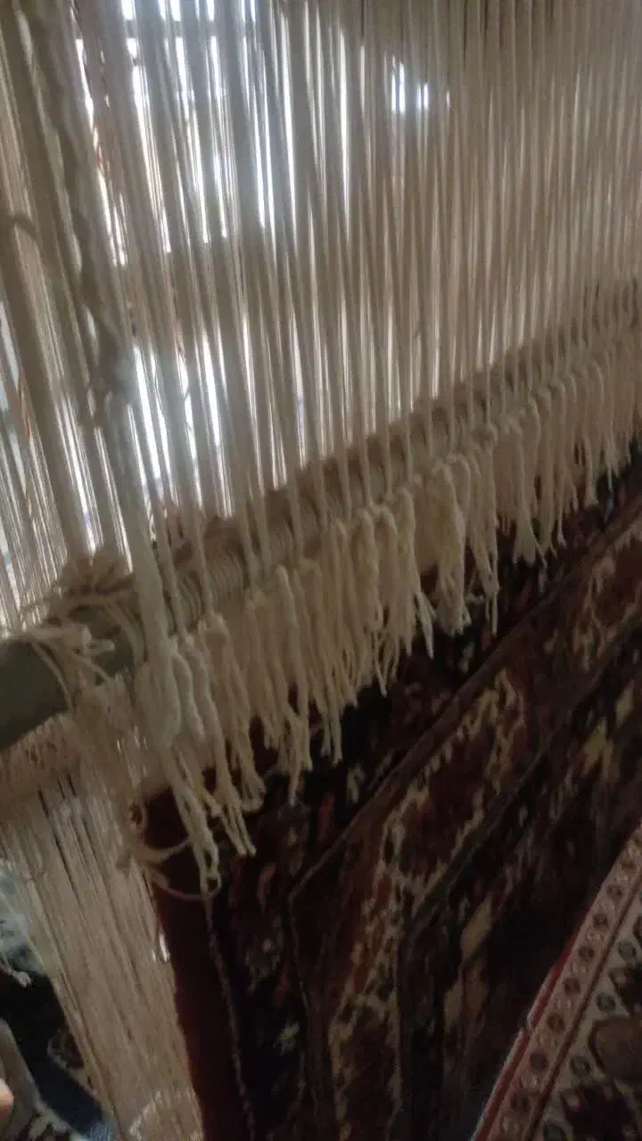 قالی دست بافت|فرش|اصفهان, شهرک میلاد|دیوار