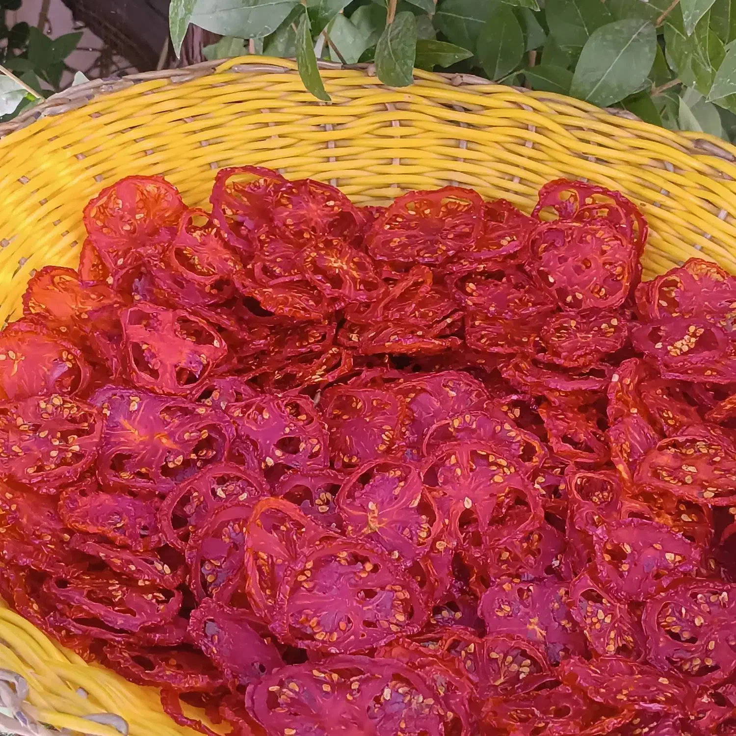 اسلایس و پودر گوجه فرنگی محلی|خوردنی و آشامیدنی|نیشابور, مدرس|دیوار