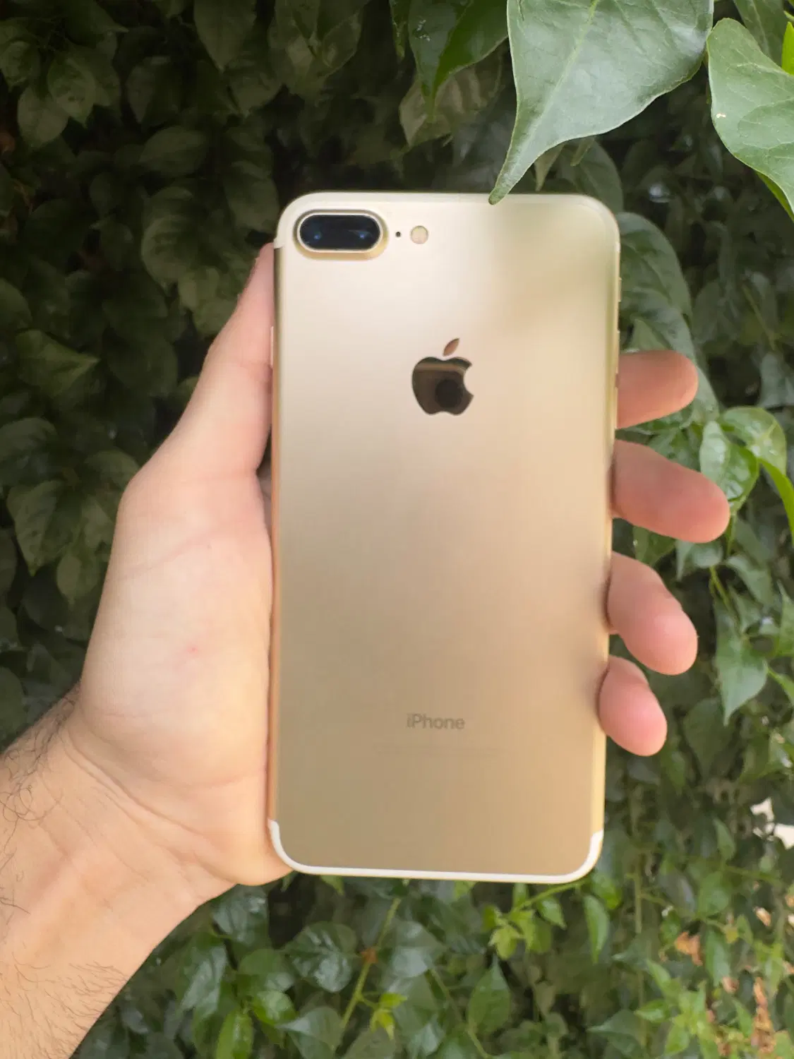 iPhone 7 plus|موبایل|نکا, |دیوار