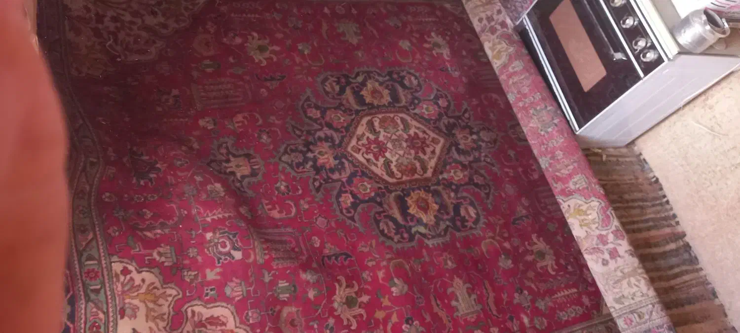 فرش دستباف|فرش|اسفراین, |دیوار