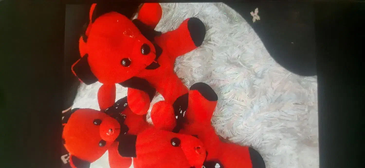 عروسک|زیورآلات و اکسسوری|قم, باغ کرباسی|دیوار