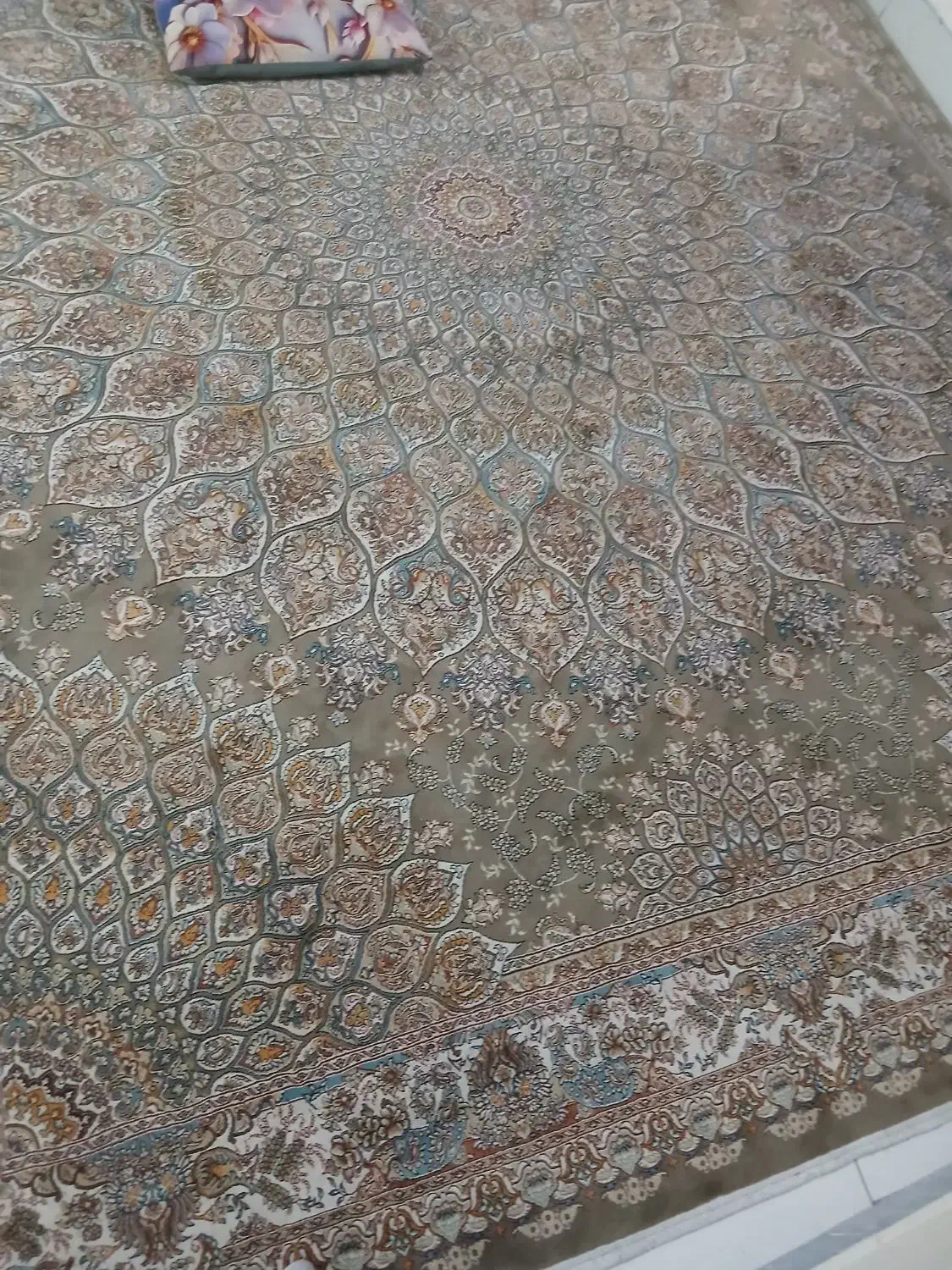 فروش|فرش|بومهن, |دیوار