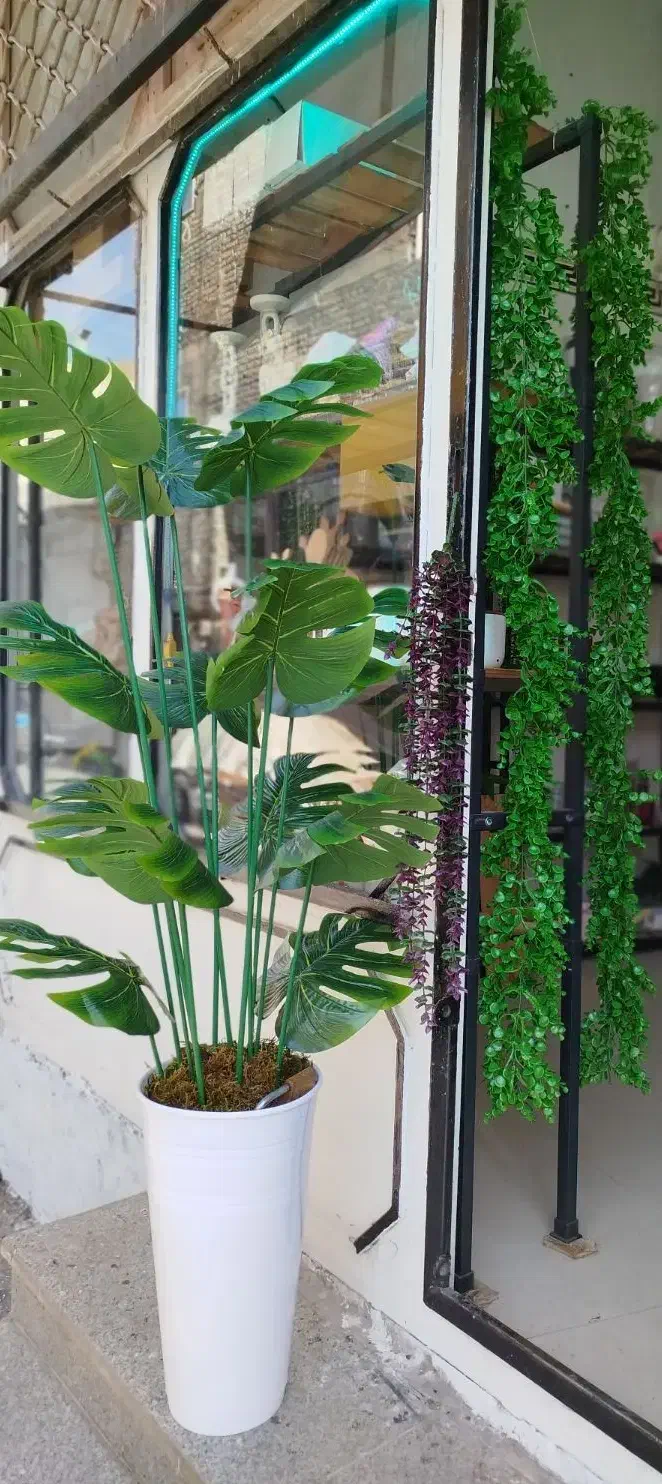 گل مصنوعی|گل مصنوعی|ری, اقدسیه|دیوار