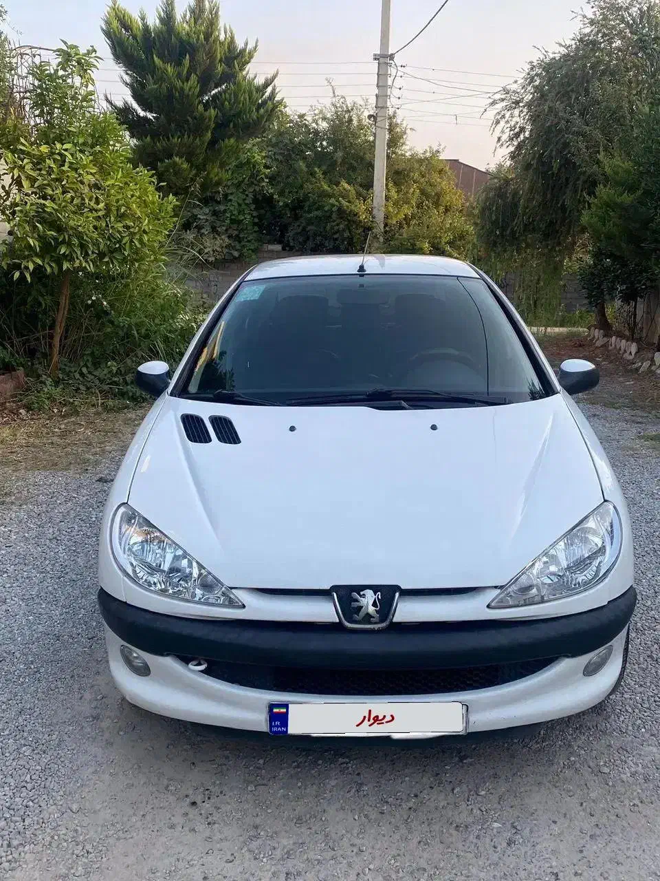 پژو، 206 SD v8|خودرو سواری و وانت|بابلسر, |دیوار